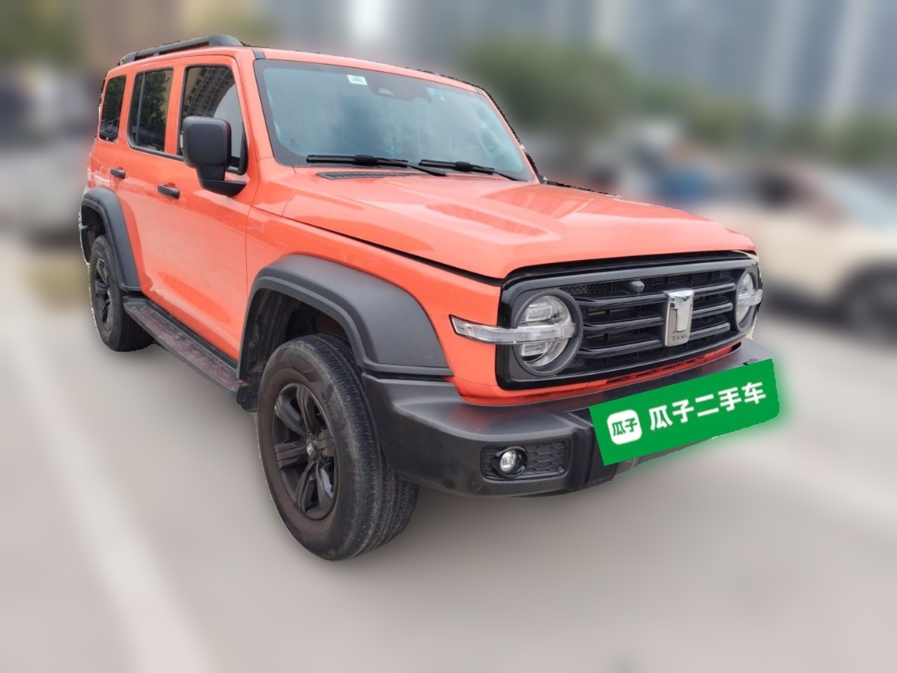 300 2023 Off-road 2.0T Conqueror photo 3