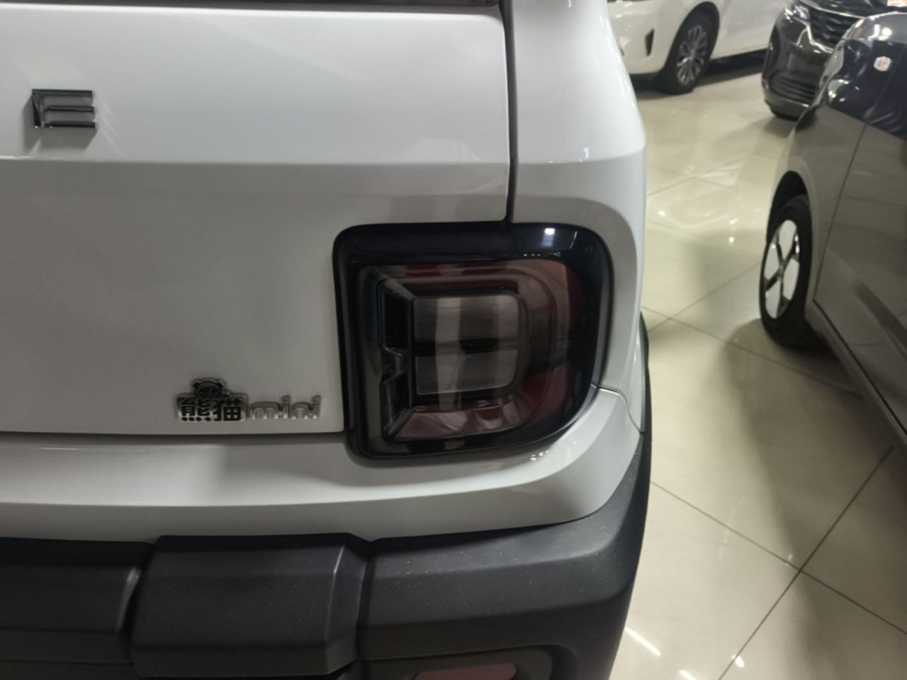 2025 210km Panda photo 2