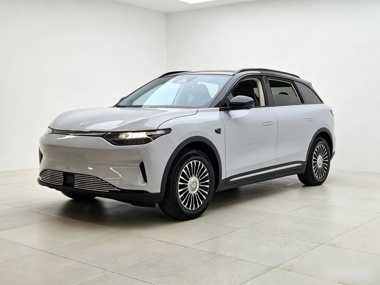 Leapmotor C11 2023 EV 500 Comfort photo 2