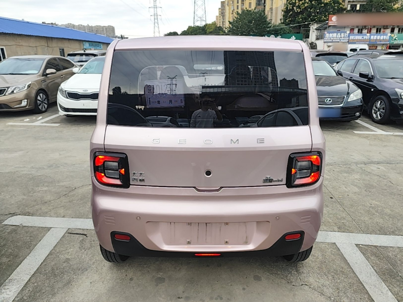 2023 Panda mini 200km Endurance Bear photo 3