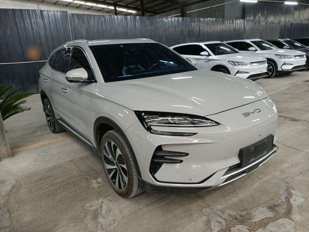 Song PLUS EV 2023 Champion EV 520KM Premium photo 3