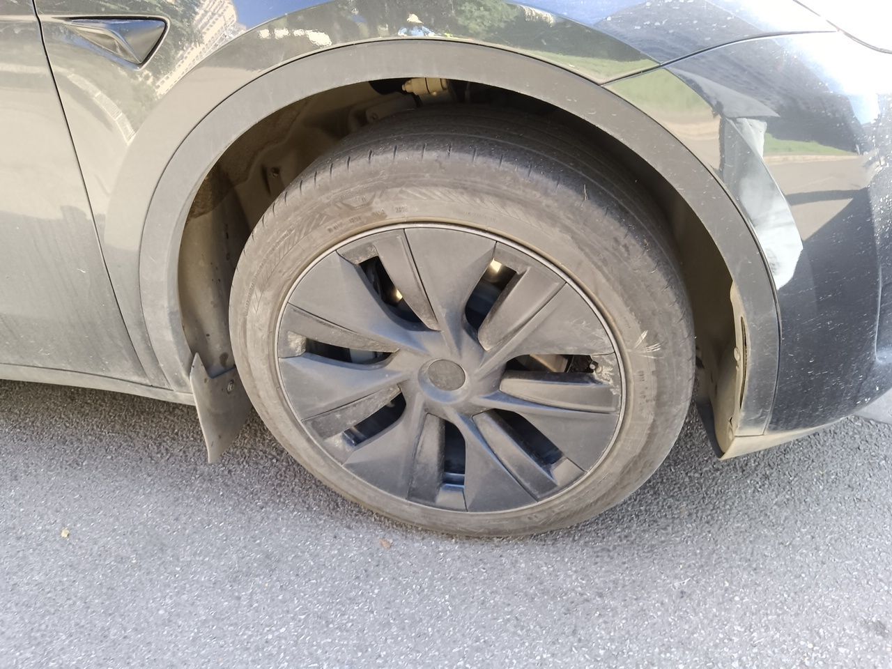 Model Y 2024 RWD photo 5