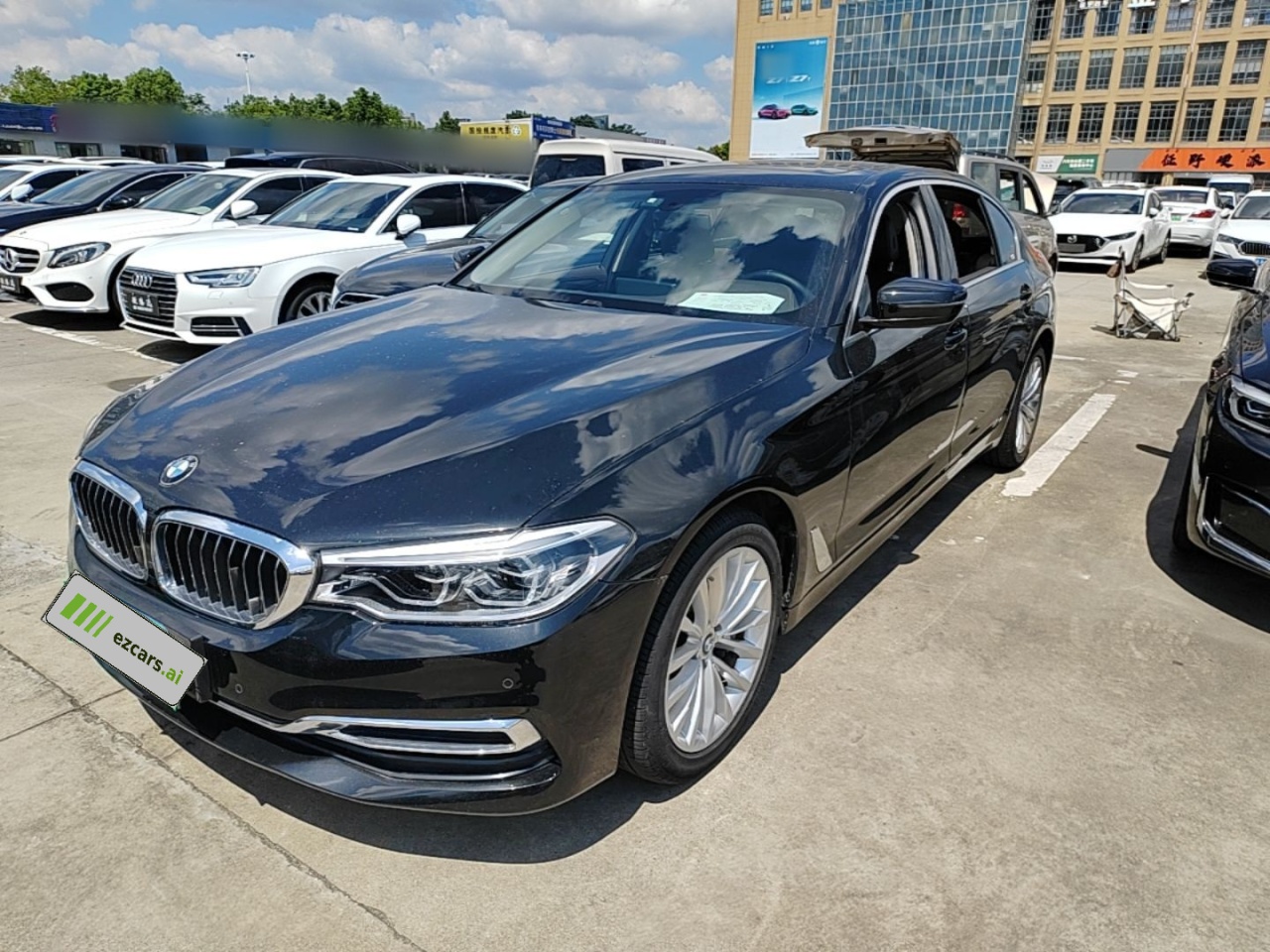 5 Series 2020 530Li Leading Luxury