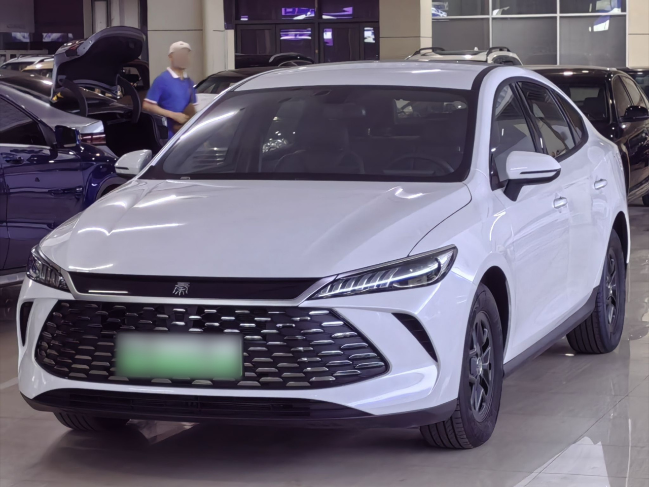 Qin PLUS 2025 DM-i ADAS 55KM Leading