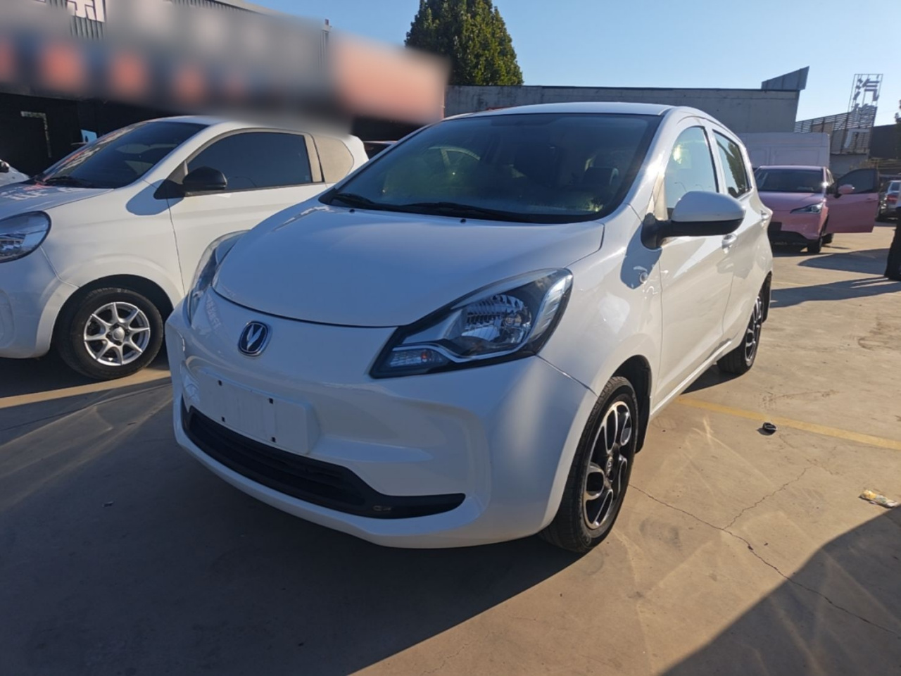 Benni E-Star 2022 NCM