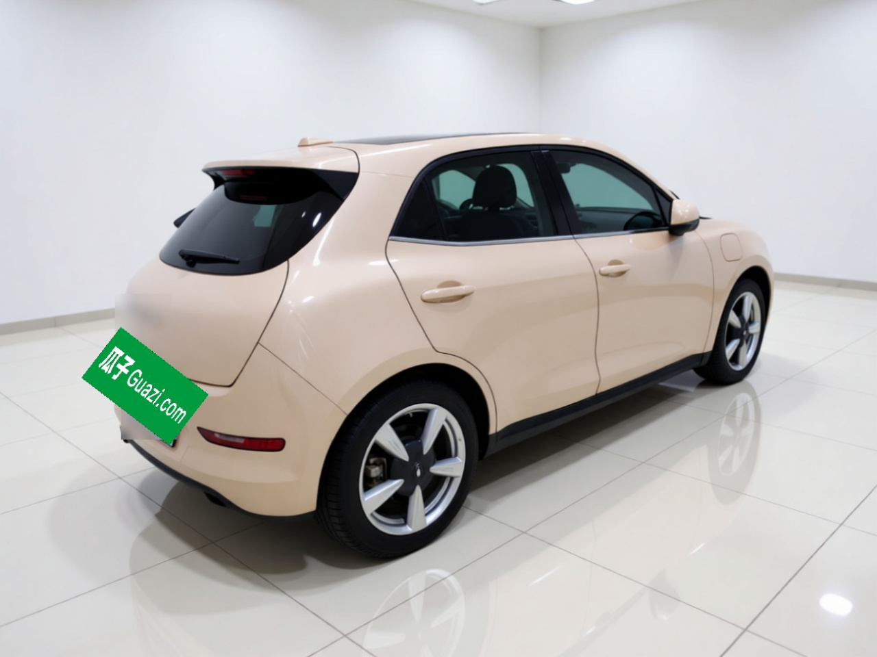 Good Cat 2023 401km Standard Range Luxury LFP photo 4