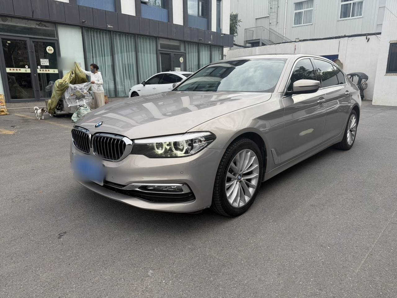 5 Series 2018 525Li Luxury