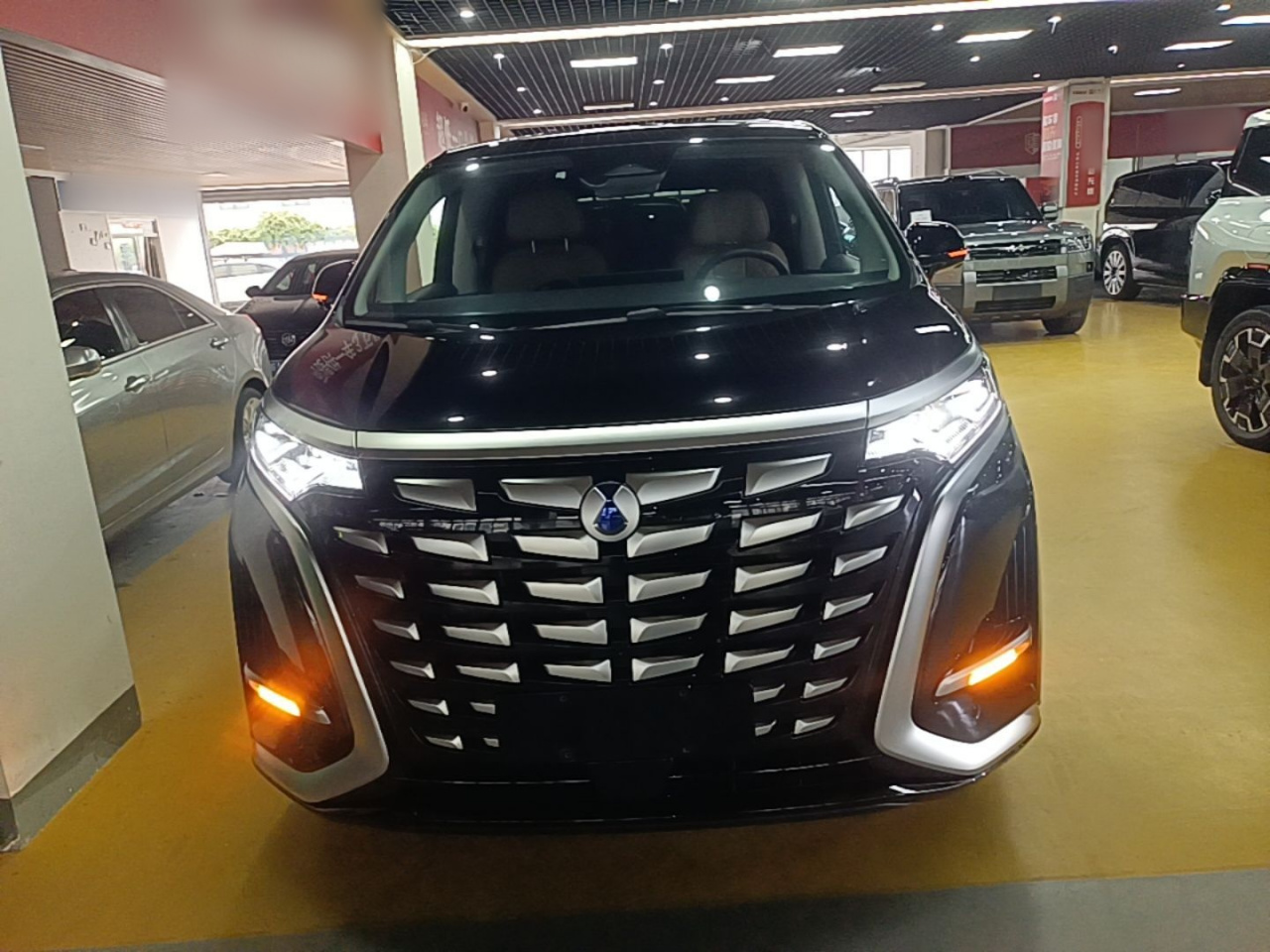 D9 2024 DM-i 980 AWD Premium photo 2