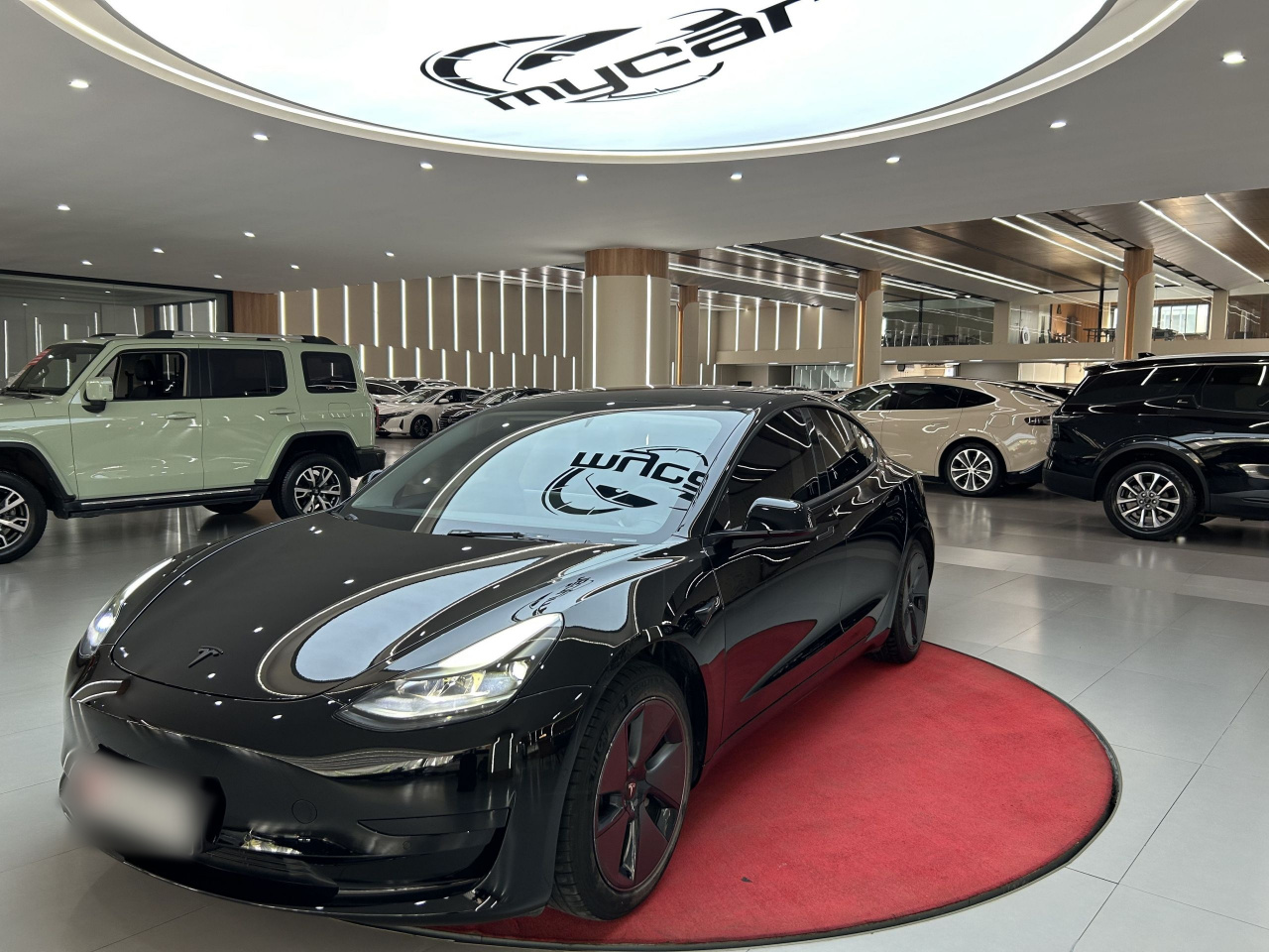 Model 3 2021 Standard Range RWD Upgraded 3D6
