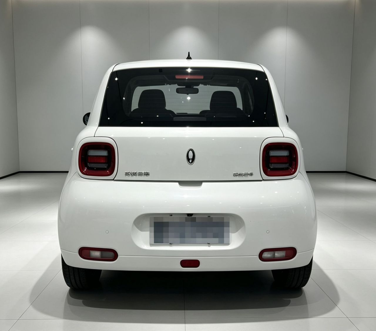 2020 305km Luxury photo 5