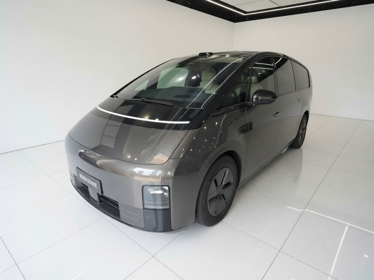 Li MEGA 2025 Home Family Special