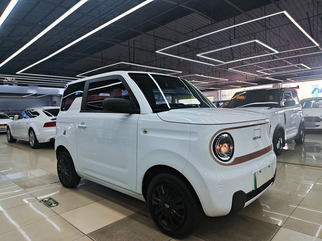 2023 Panda mini 200km Endurance Bear photo 3