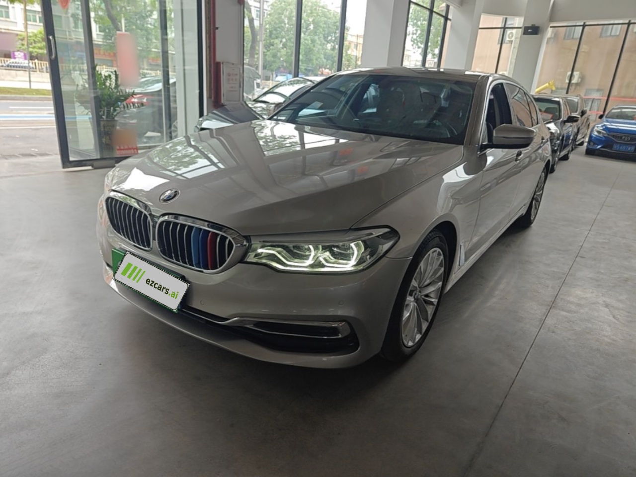 5 Series 2020 530Li Leading Luxury