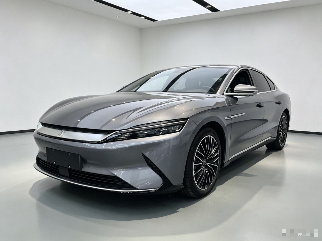 Han 2021 EV Standard Range Luxury
