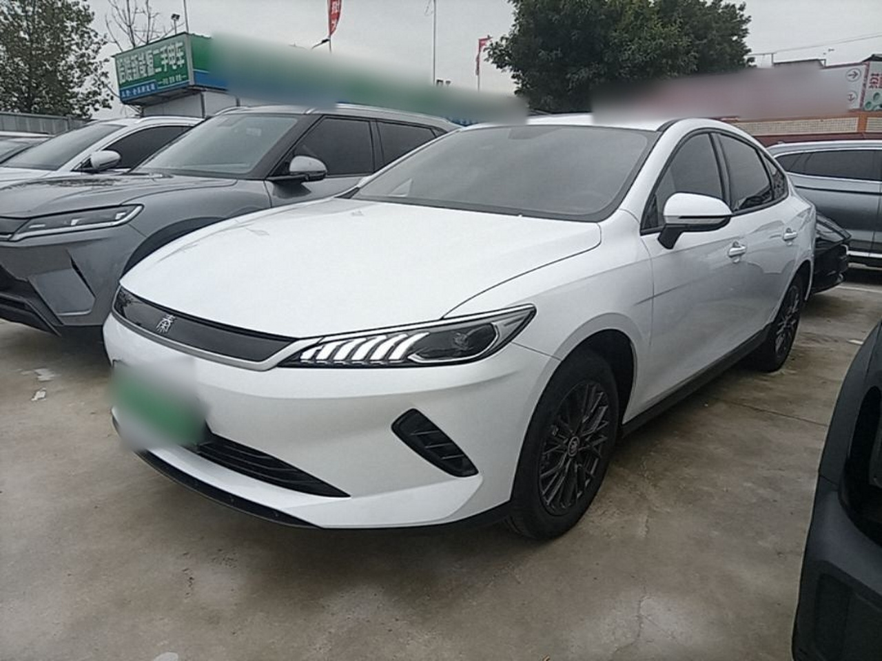Qin PLUS 2025 EV ADAS 510KM Progressive