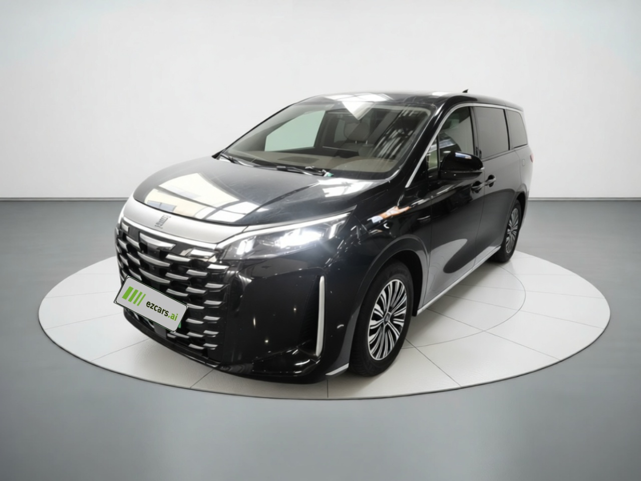 2025 DM-i 1.5T 100km