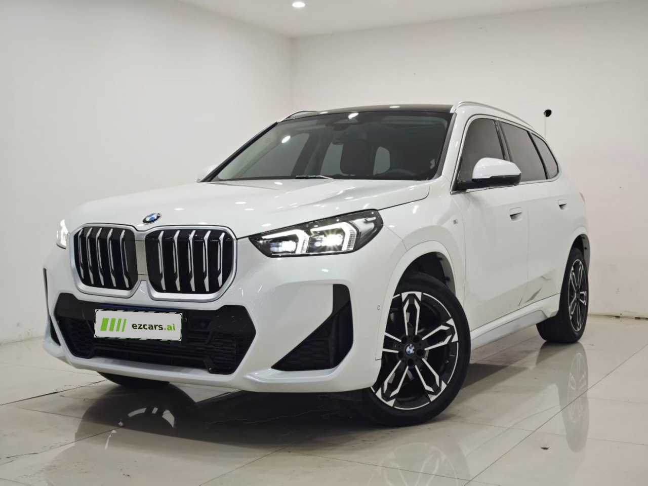 X1 2023 sDrive25Li M Sport Package