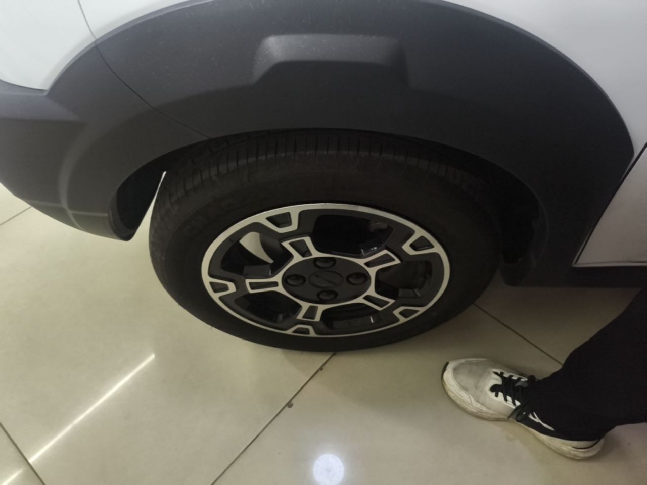 2025 210km Panda photo 3