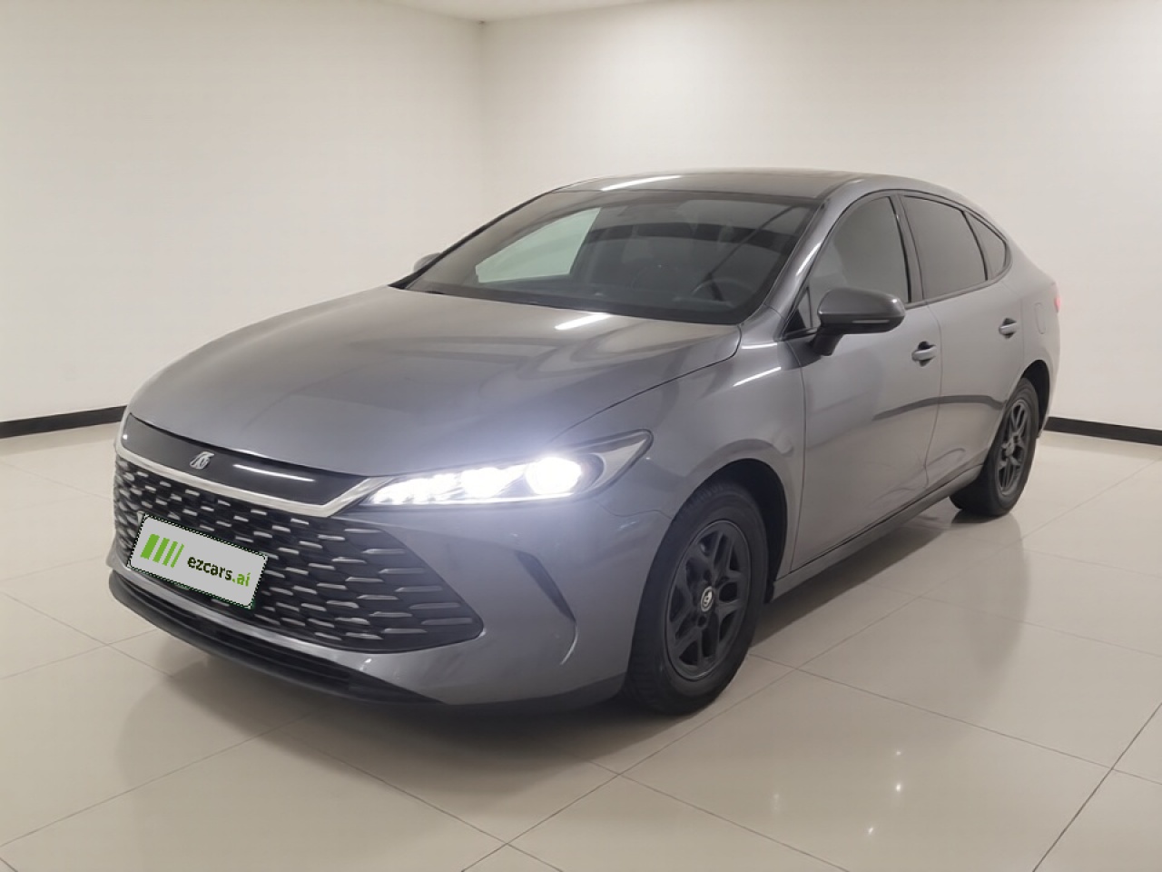 Qin PLUS 2025 DM-i ADAS 55KM Leading