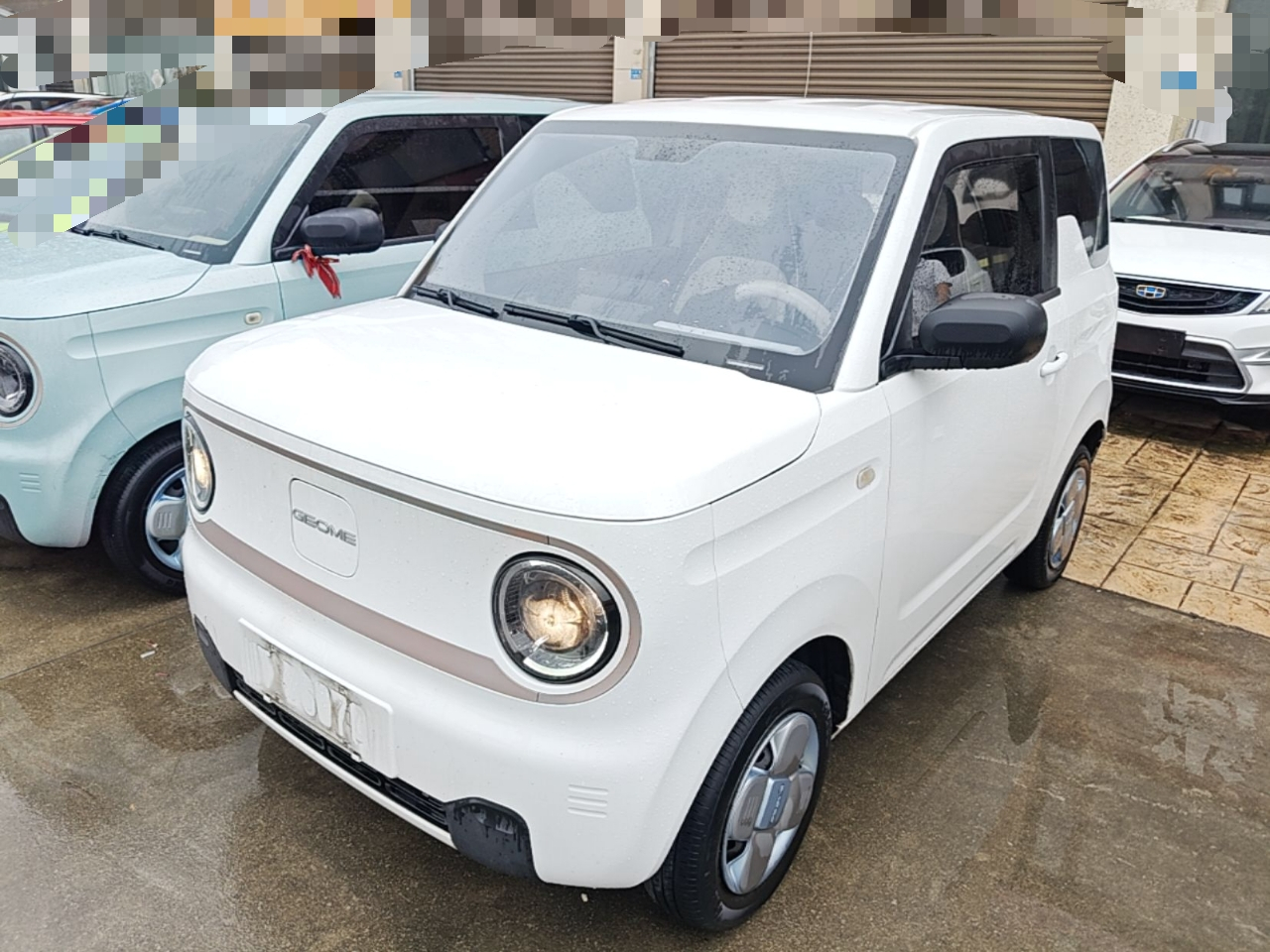 2023 Panda mini 200km Endurance Bear