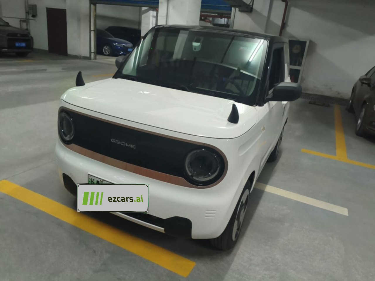 2023 Panda mini
