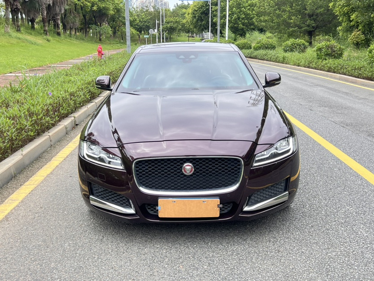 XFL 2018 XFL 2.0T 250PS Luxury photo 2