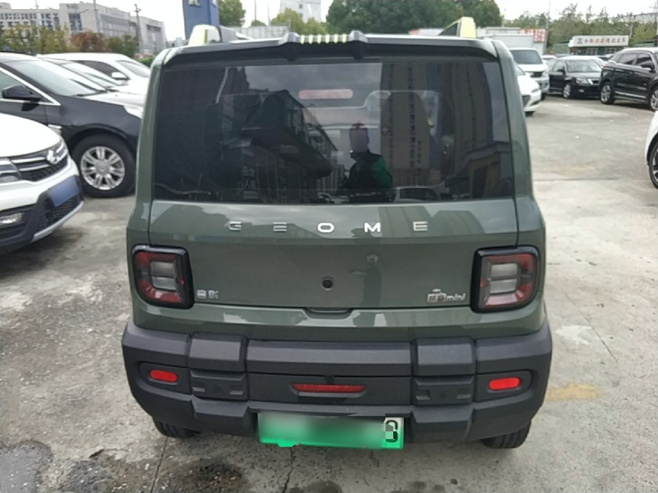 2025 210km Panda photo 5