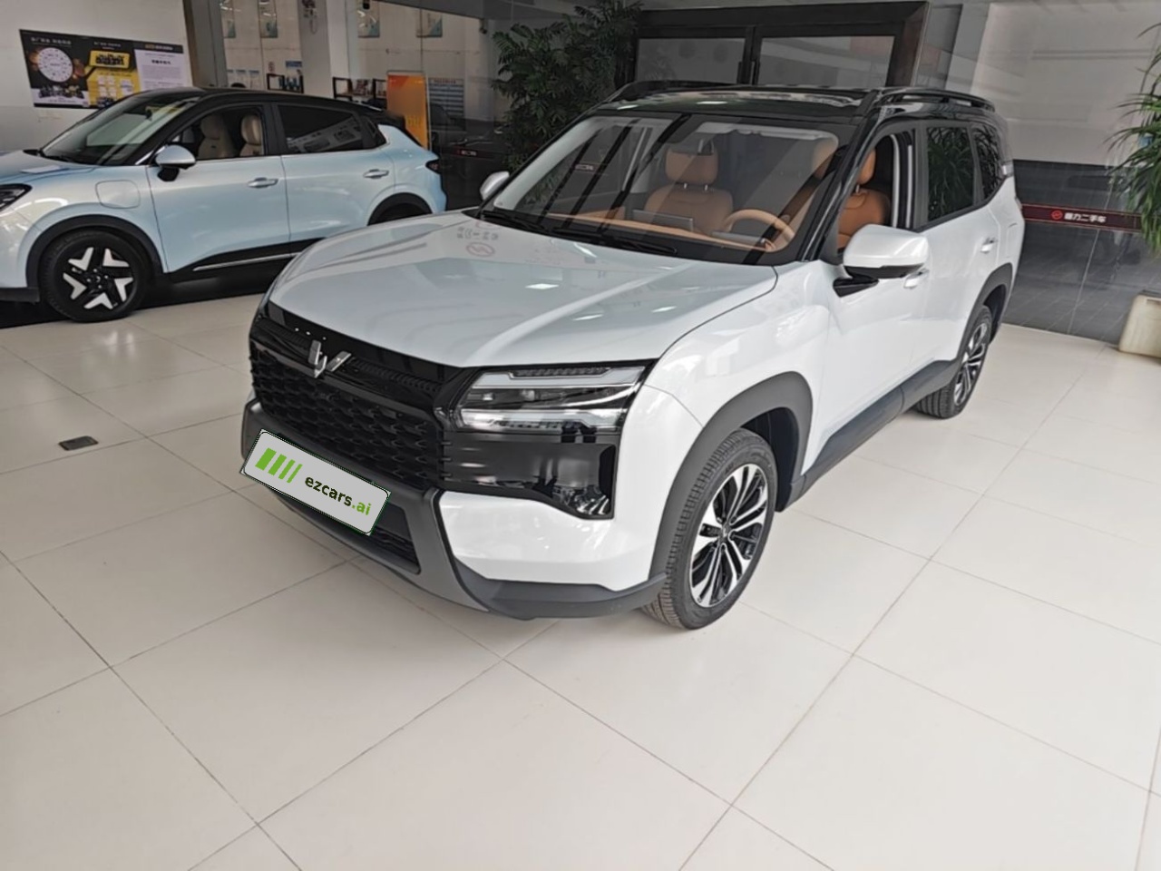 560 EV 2026 125km Luxury