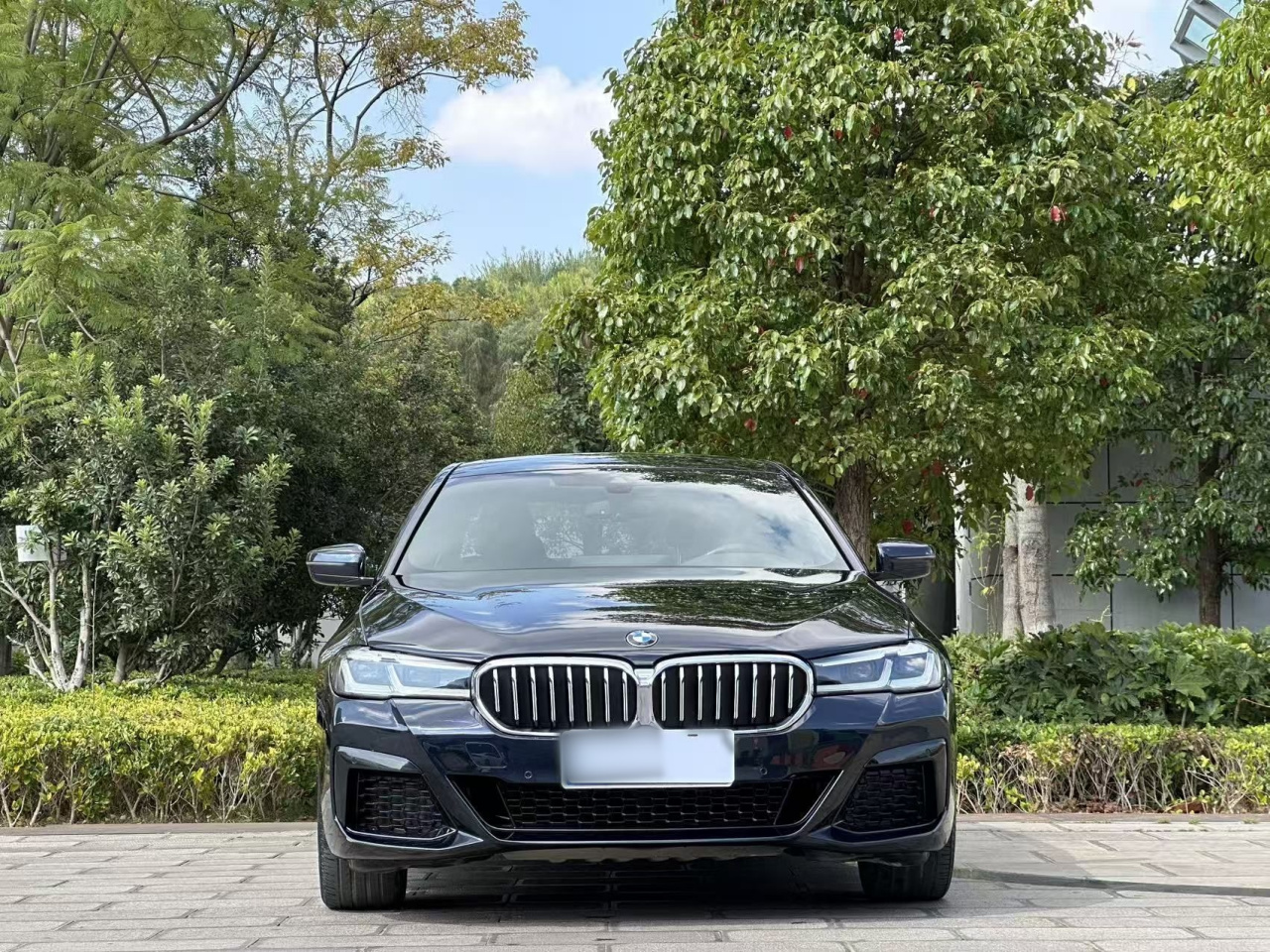 5 Series 2021 530Li Leading M Sport Package photo 2