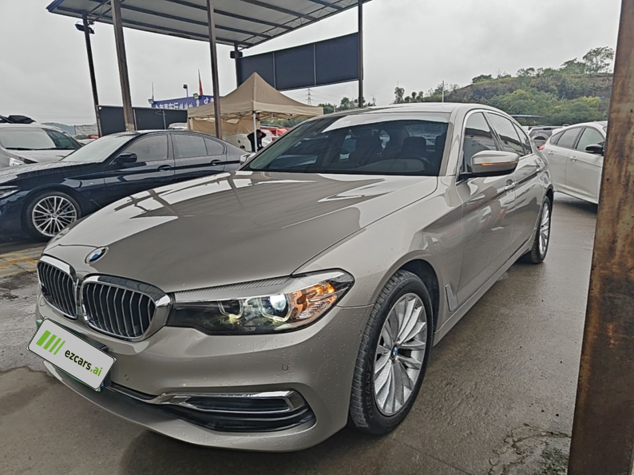 5 Series 2020 525Li Luxury