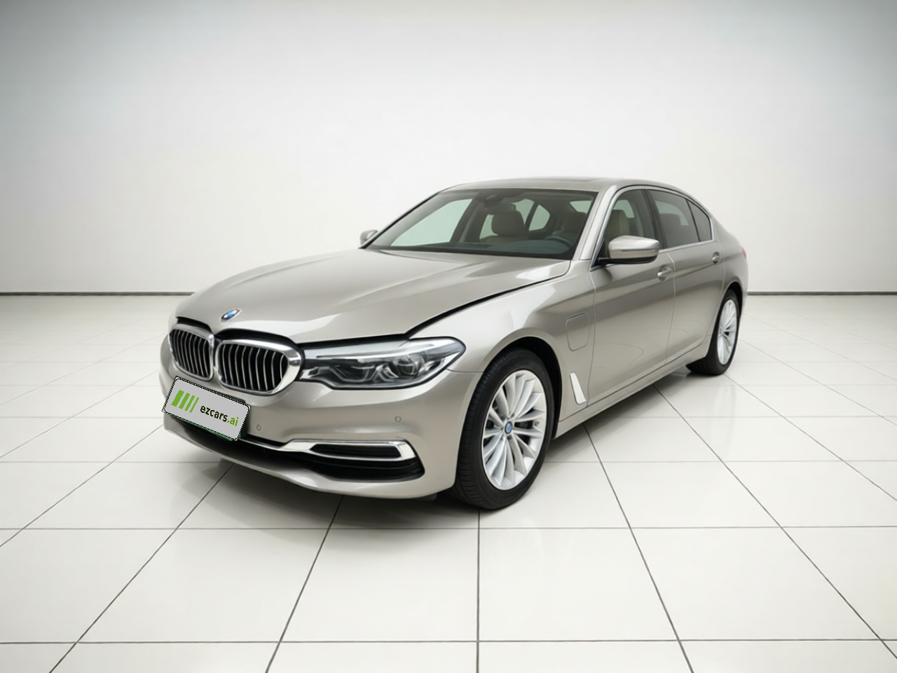 5 Series EV 2020 Upgraded 530Le Luxury