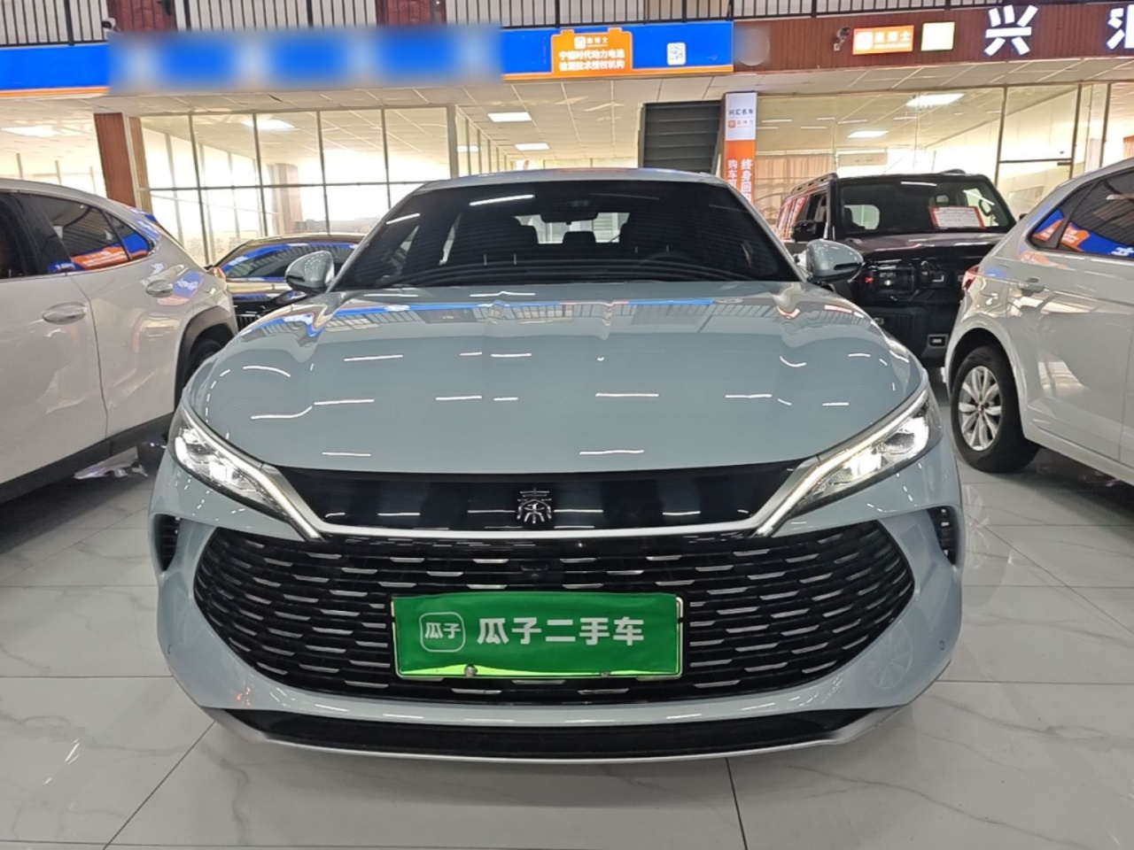 Qin L 2024 DM-i 80KM photo 2