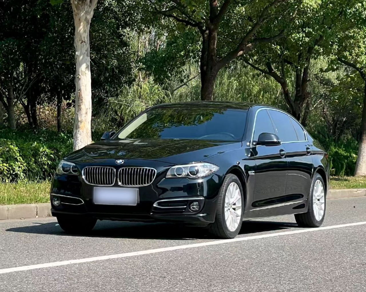 5 Series 2014 525Li Luxury Design Package
