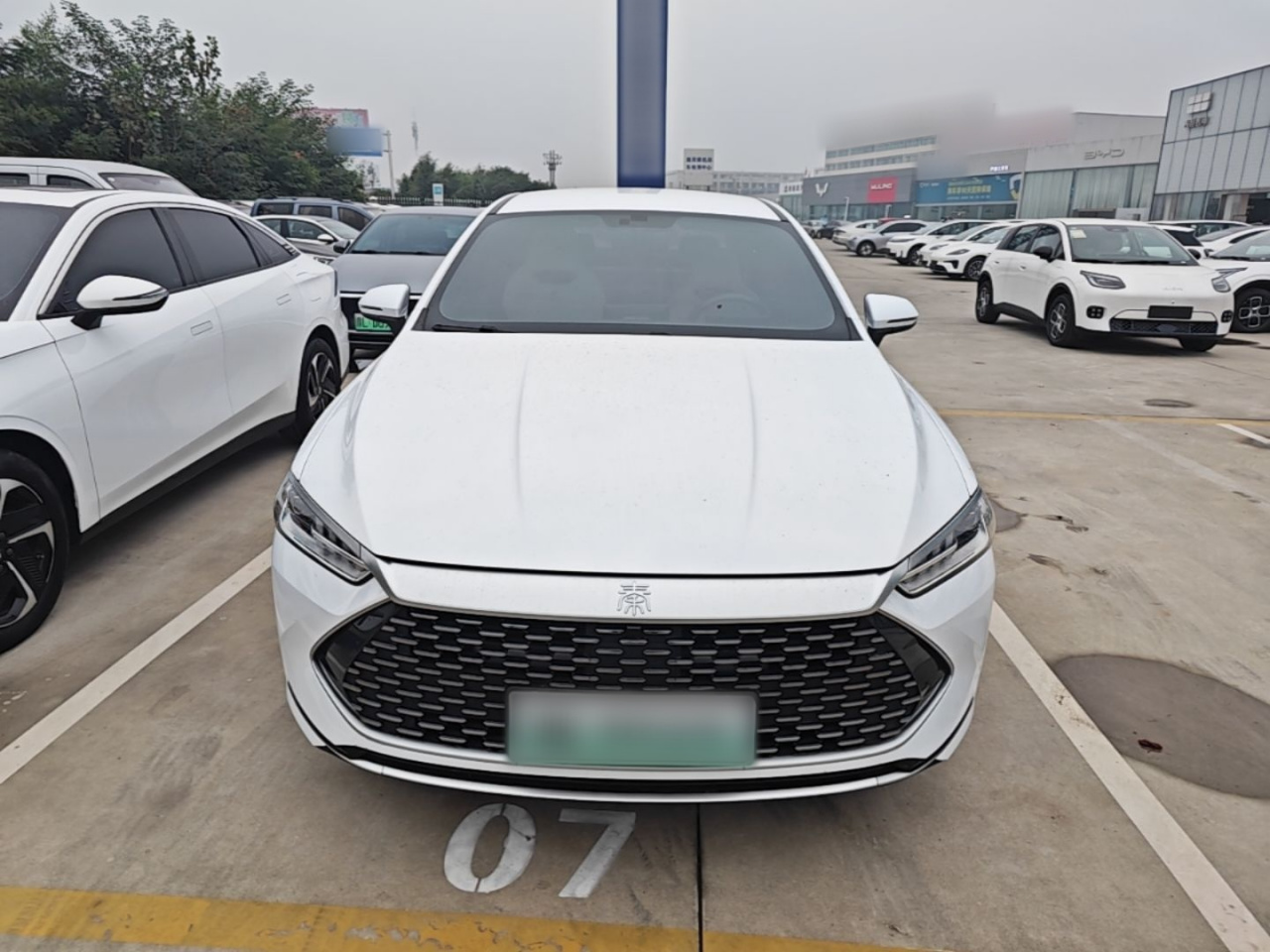 Qin PLUS 2024 Honor DM-i 55KM Leading photo 2