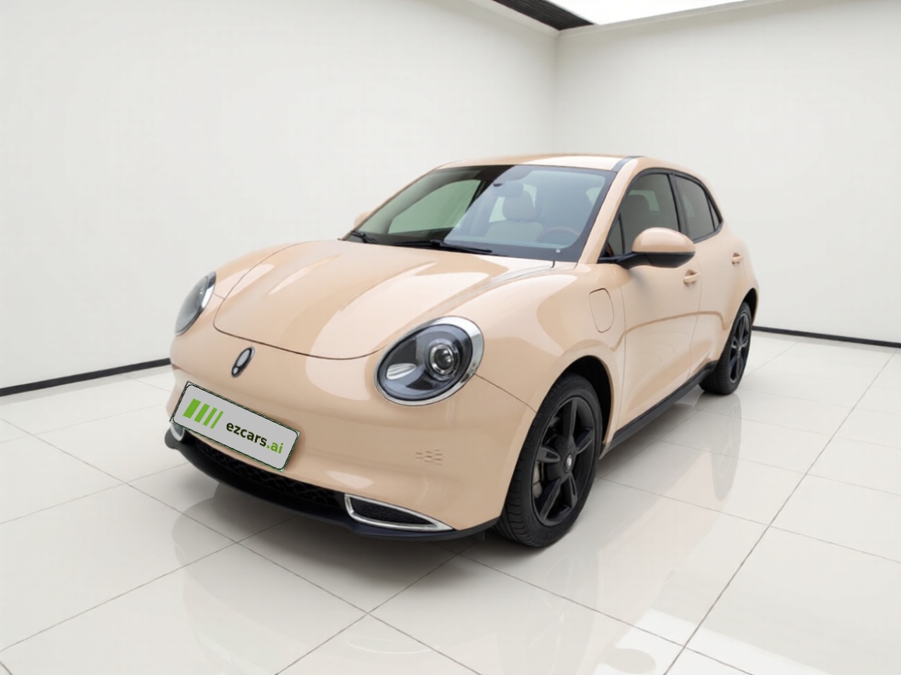 Good Cat 2024 401km Luxury