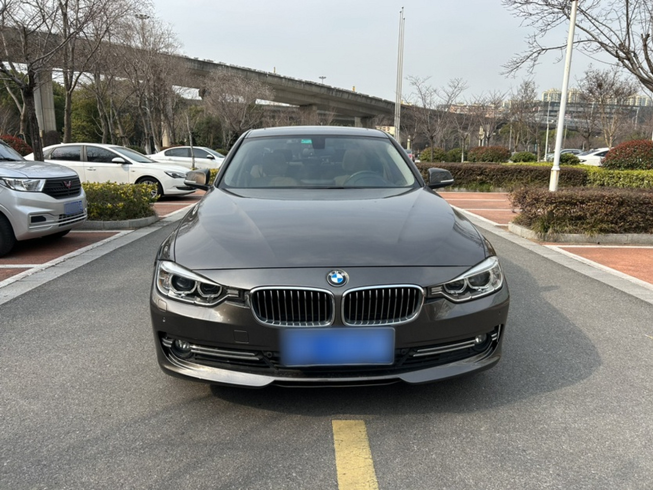 3 Series 2013 Facelift 320Li Luxury Design Package photo 2