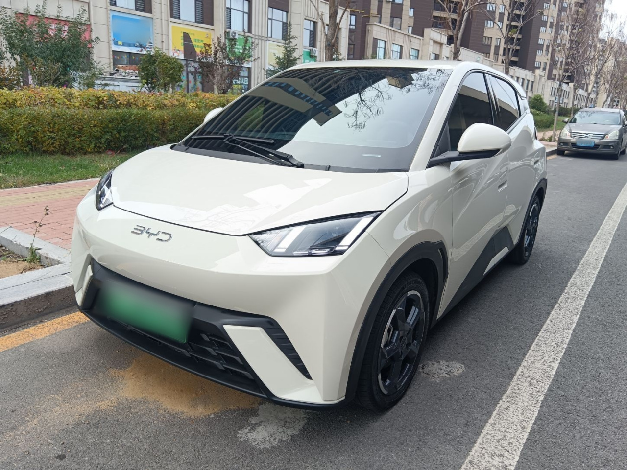 Seagull 2023