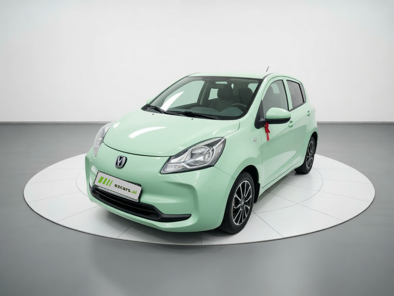 Benni E-Star 2021 LFP 31.18kWh