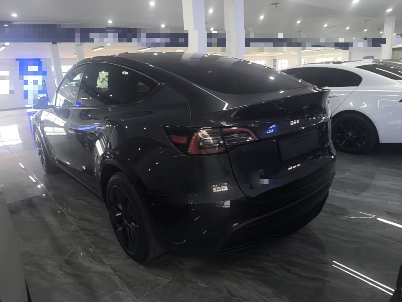 Model Y 2024 RWD photo 4