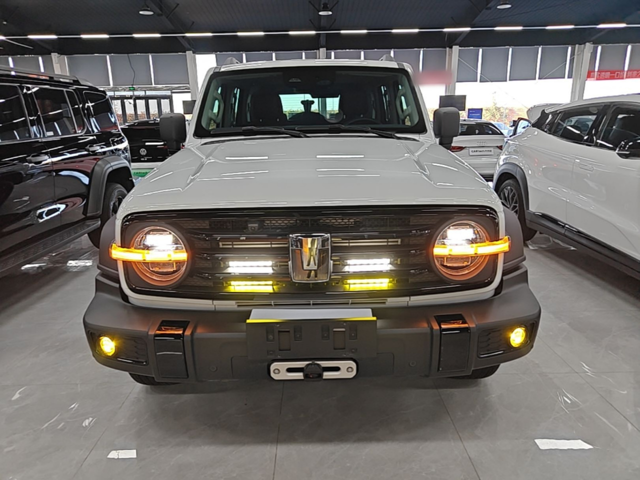 300 2024 2.0T Conqueror photo 2