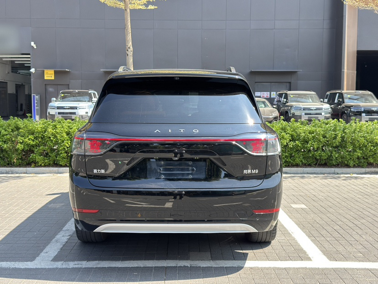 HIMA AITO M9 2024 EREV Max 42kWh 5-Seater photo 2