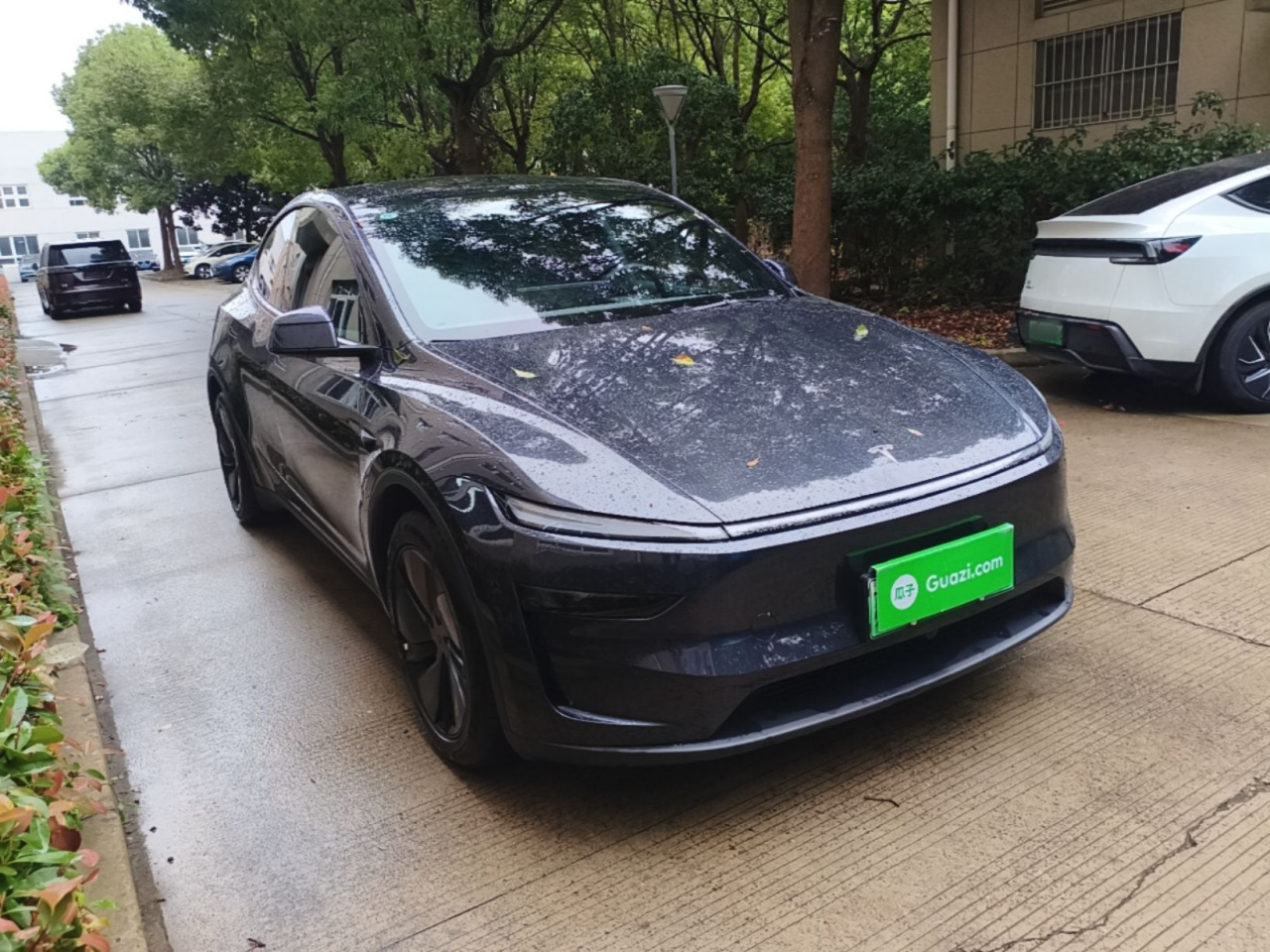 Model Y 2026 Long Range AWD photo 3