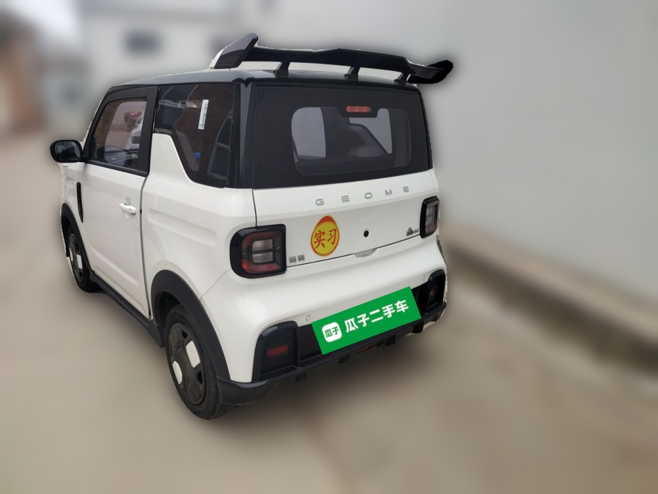 2025 210km Panda photo 4