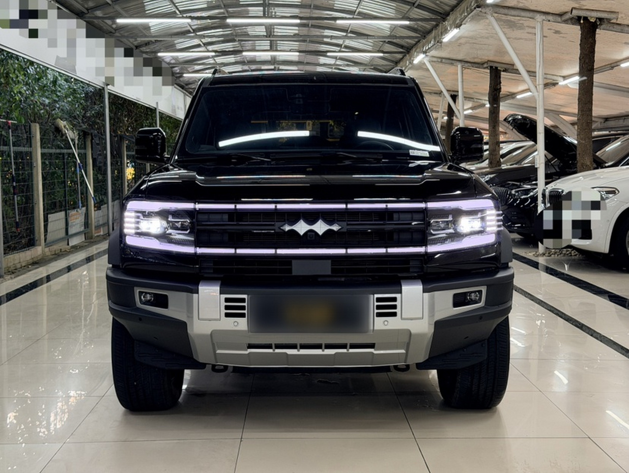 Fang Cheng Bao Leopard 5 2023 Explorer photo 2