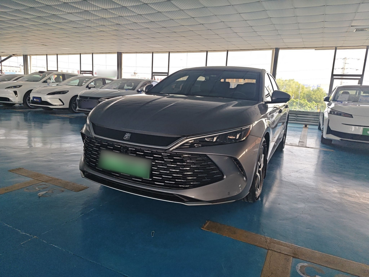 Qin L 2024 DM-i 80KM