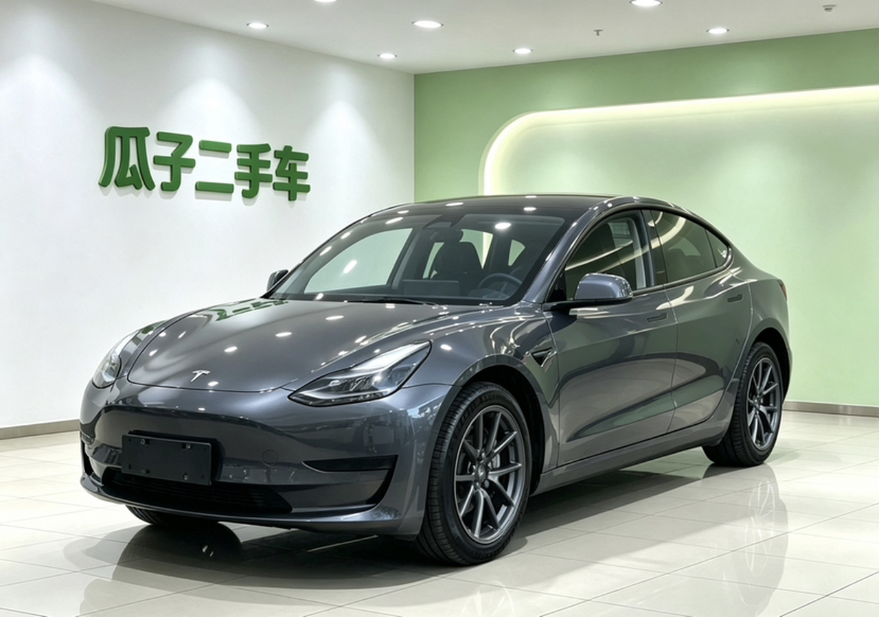 Model 3 2021 Standard Range RWD Upgraded