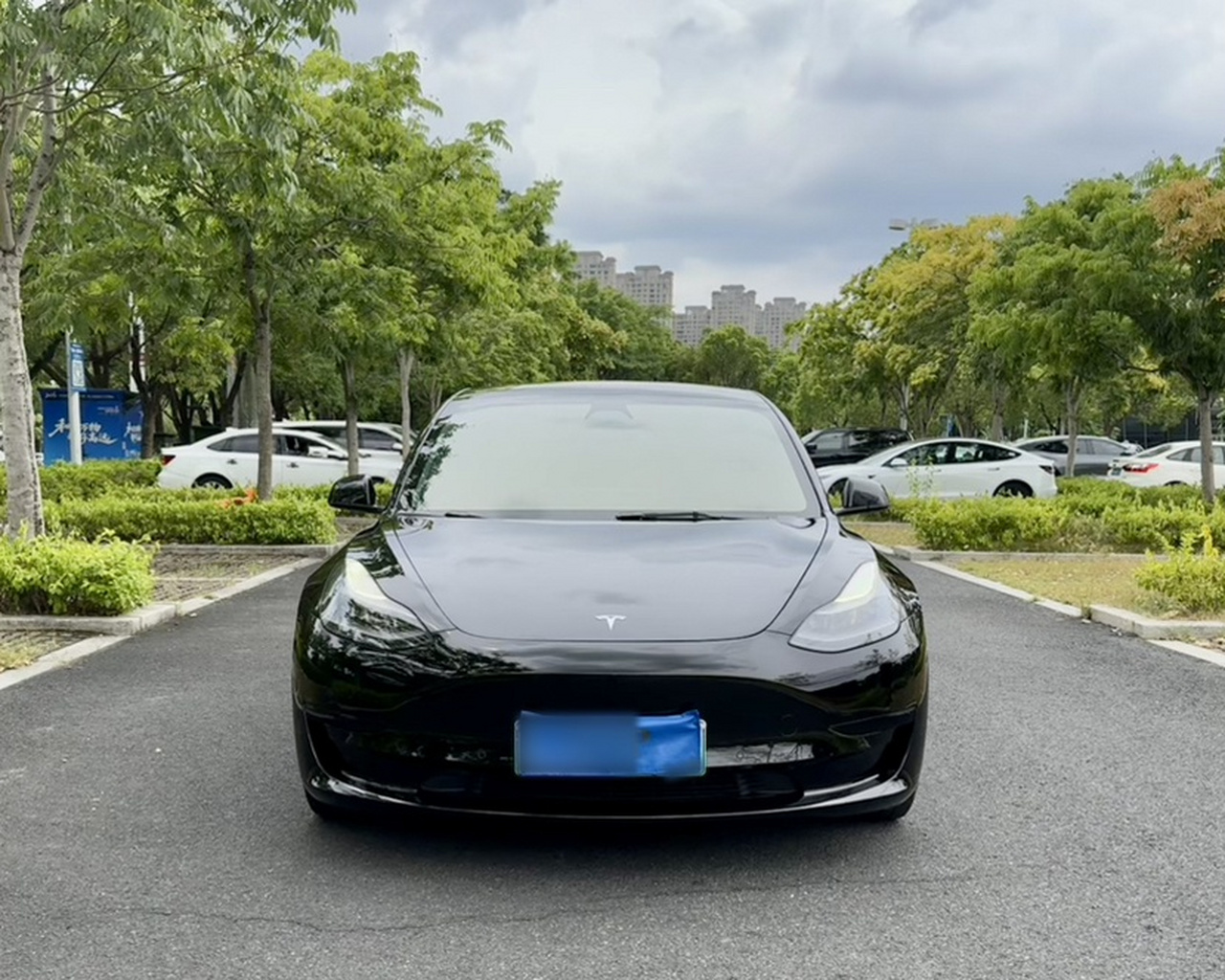 Model 3 2021 Standard Range RWD Upgraded 3D6 photo 2