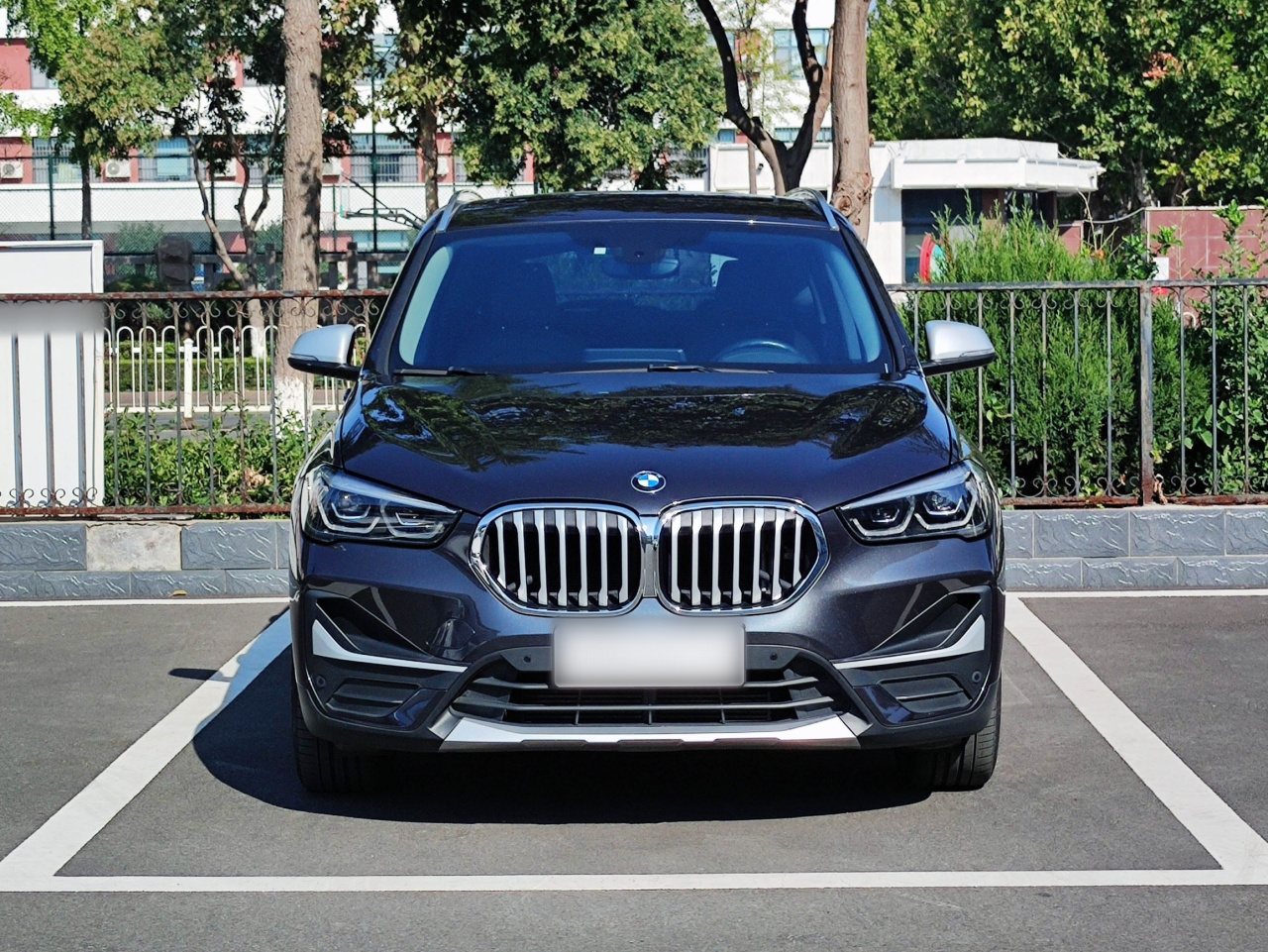 X1 2021 xDrive25Li Exclusive photo 2