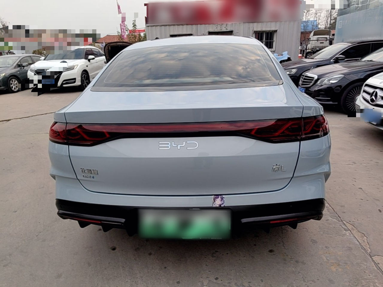 Qin L 2024 DM-i 80KM photo 5