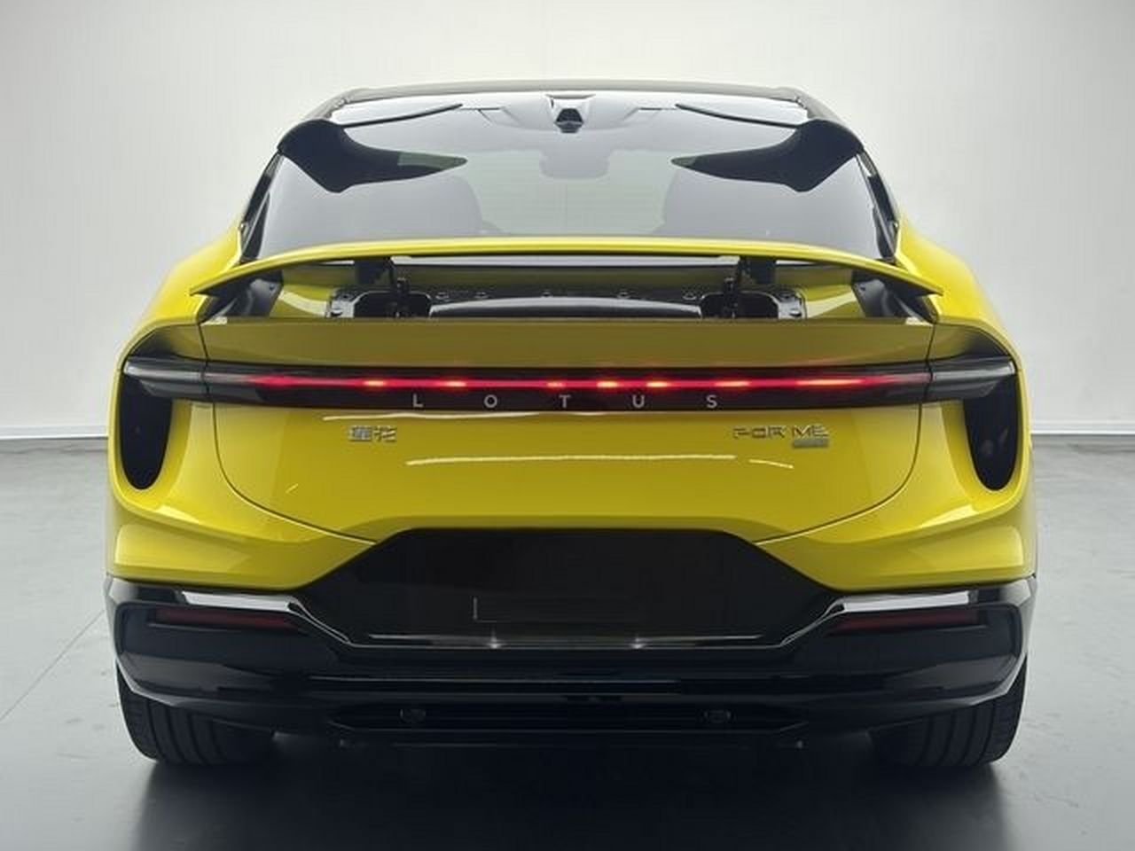 Lotus FOR ME 2026 For Me photo 4